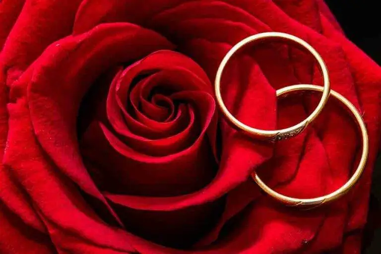 Hochzeit-DJ-Ringe-Braut